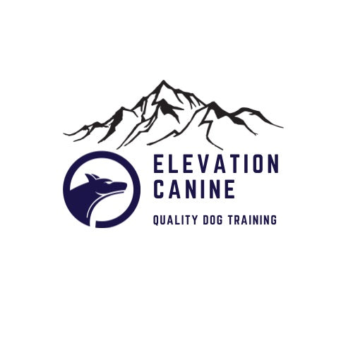 Elevation Canine